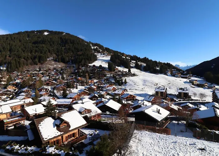 For 12 People - Renovated Duplex Troistorrents